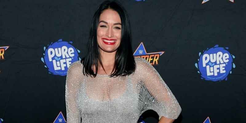 Who Is Nikki Bella's Husband Find Net Worth, Age, Children, And Other 