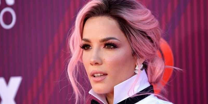 Who Is Halsey's Husband Net Worth, Age, Career, Husband, Height, And More!!